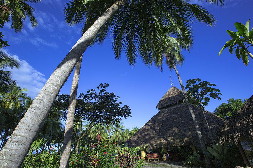 Clandestino Beach Resort Parrita Exterior foto